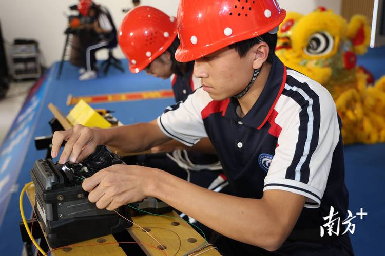 高级技工证查询入口 高级技工证查询入口